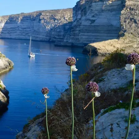 Seafront In Bay, Gozo, Malta Apartment Xlendi